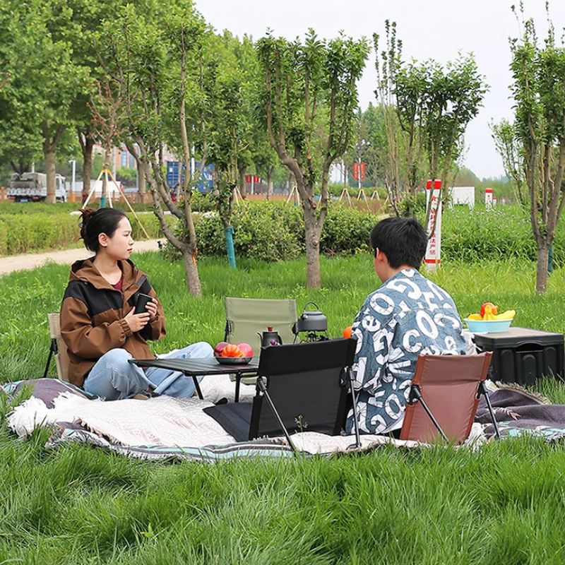 Camping Chair Foldable Outdoor Single Chair with Backrest Cushion Portable for Garden, Picnic, Beach Black 51x24cm