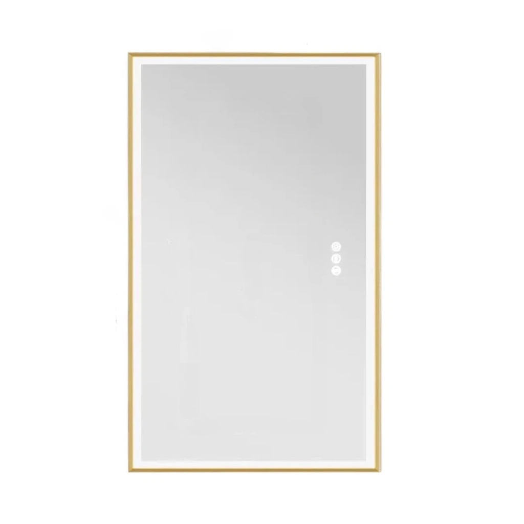 Illuminated LED Bathroom Mirror 60x100cm Gold Frame Anti Fog 3 Color Dimming Wall Mounted Vanity Mirror