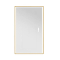 Illuminated LED Bathroom Mirror 60x100cm Gold Frame Anti Fog 3 Color Dimming Wall Mounted Vanity Mirror