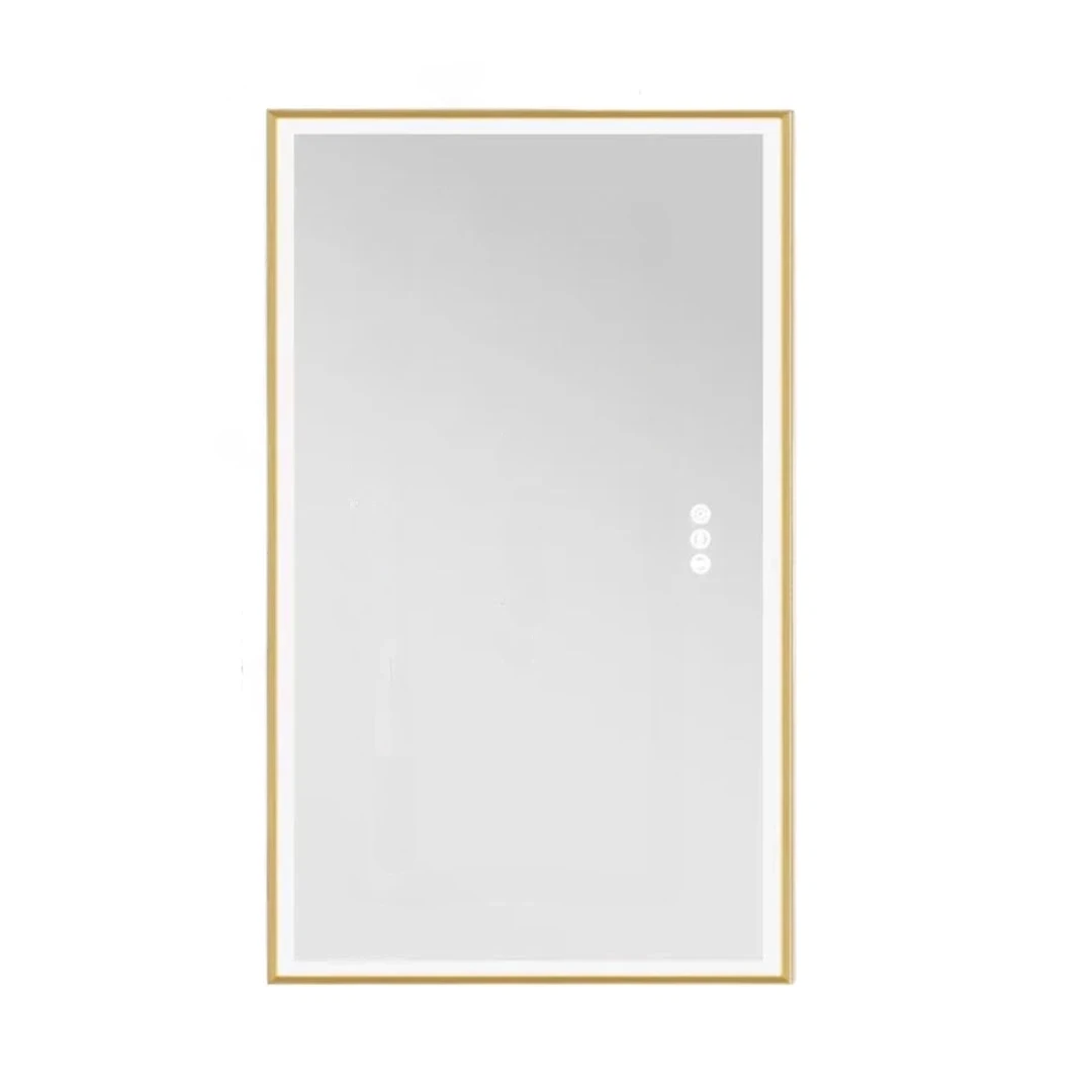 Illuminated LED Bathroom Mirror 60x100cm Gold Frame Anti Fog 3 Color Dimming Wall Mounted Vanity Mirror