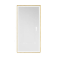 Illuminated LED Bathroom Mirror 60x120cm Gold Frame Anti Fog 3 Color Dimming Wall Mounted Vanity Mirror