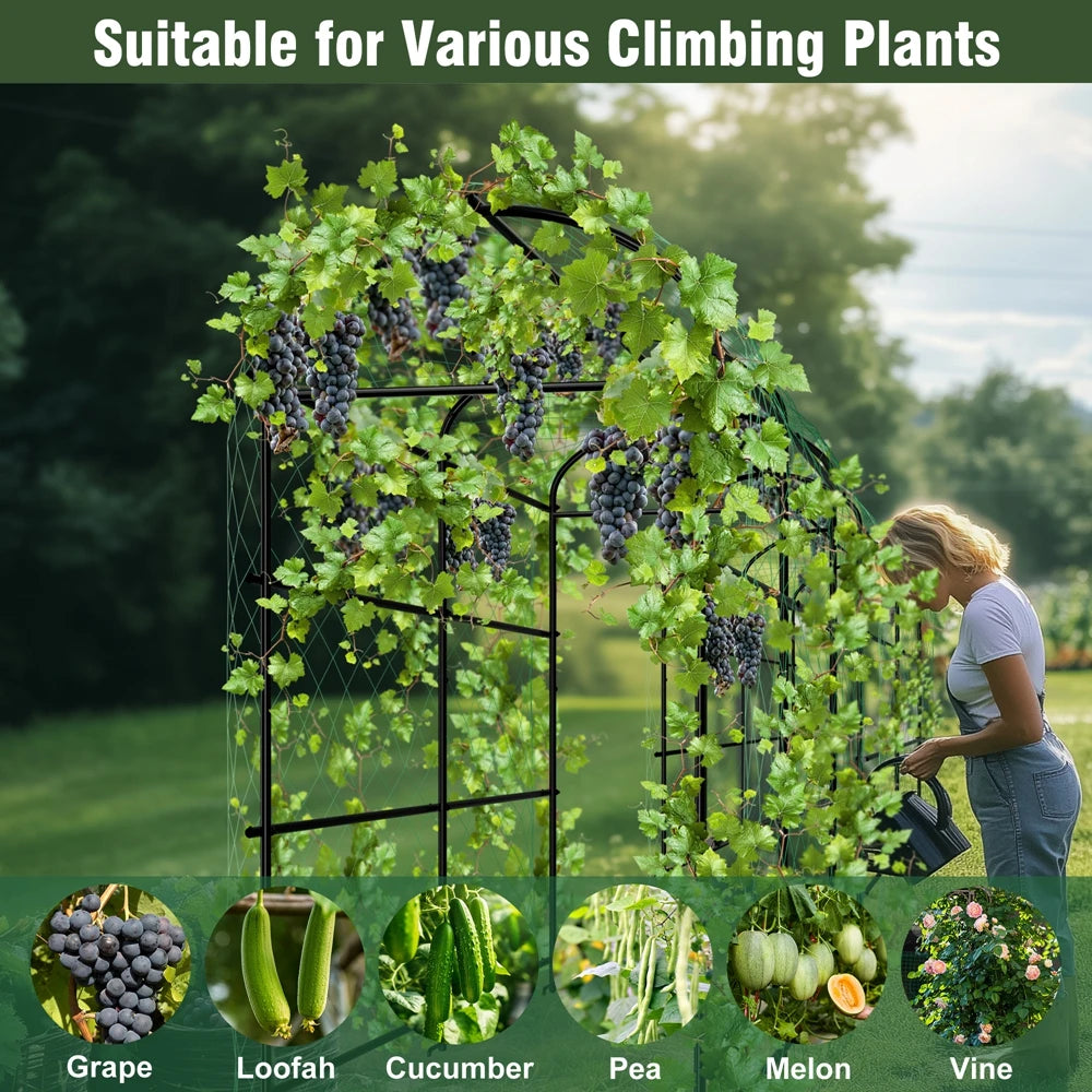 U-Shaped Metal Garden Trellis Climbing Plant Support Frame Vegetable Vine Grow Stand Black Green 105 × 162 × 160cm
