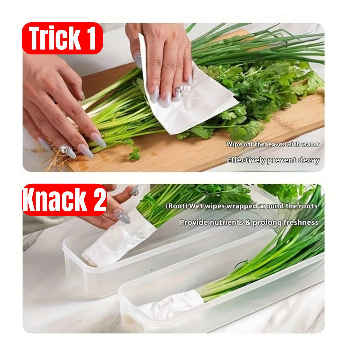 1PC Refrigerator Storage Box with Lid Plastic Fresh Keeping Container Food Organizer for Scallions Eggs Noodles 25.5 × 7.5 × 5.2cm