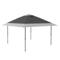Pop-Up Gazebo Outdoor Canopy Tent Includes Sandbags Suitable for Patio, Lawn, Garden Black 3.6x3.6m