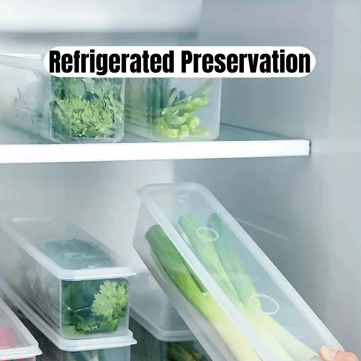 2PCS Refrigerator Storage Boxes with Lids Plastic Fresh Keeping Containers Food Organizer for Scallions Eggs Noodles 25.5 × 7.5 × 5.2cm