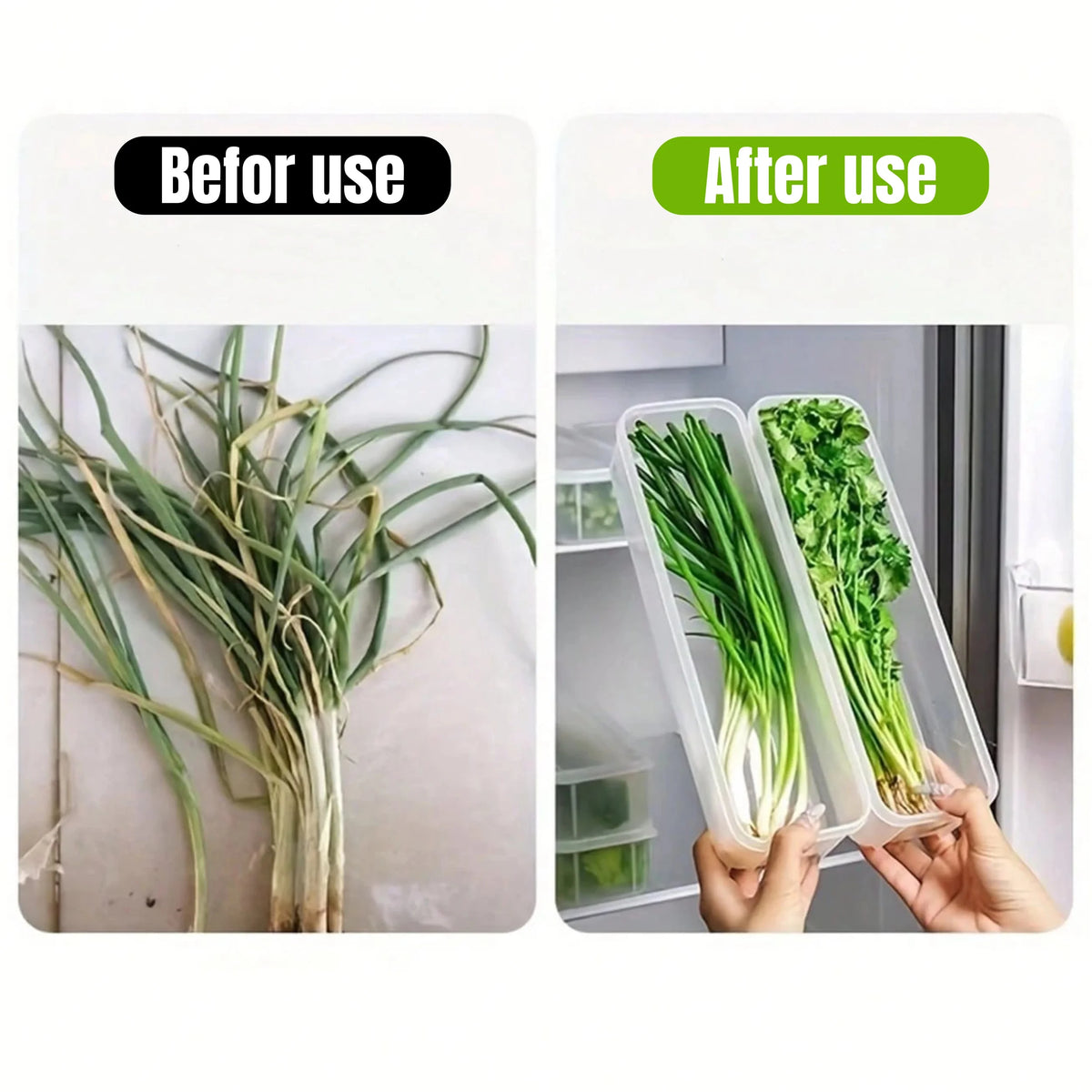 4PCS Refrigerator Storage Boxes with Lids Plastic Fresh Keeping Containers Food Organizer for Scallions Eggs Noodles 25.5 × 7.5 × 5.2cm