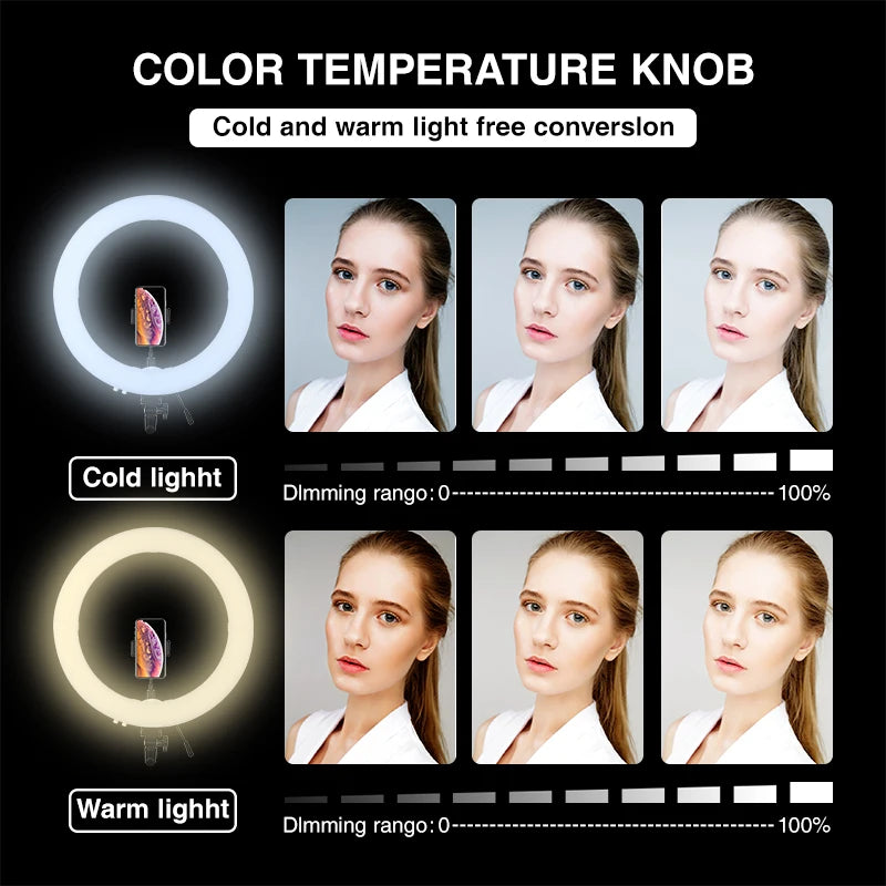 Photography Video Light Kit 60W LED Studio Light with Wall Mount Boom Arm Stand Cold and Warm Lighting 175cm